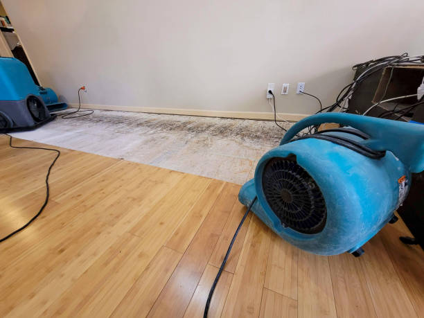 Professional Sewage Cleanup technician working in Hartland, ME